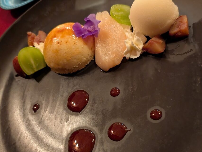 東京ディズニーシー　マゼラン