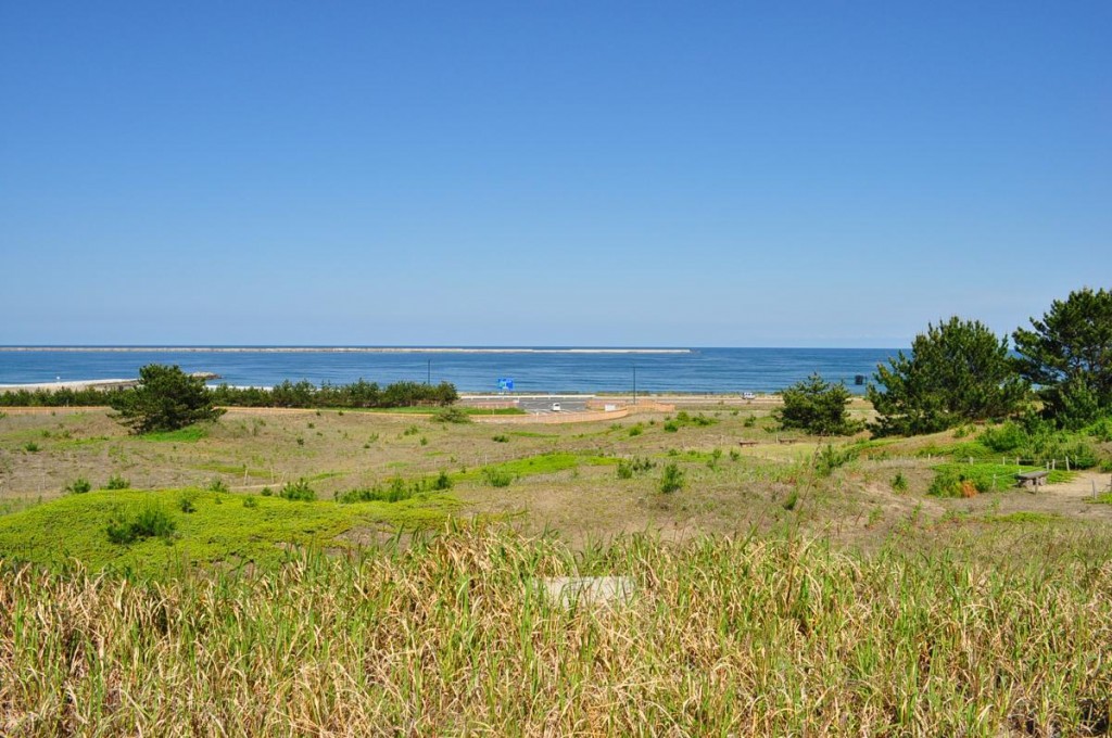 ひたちなか海浜公園 砂丘エリア