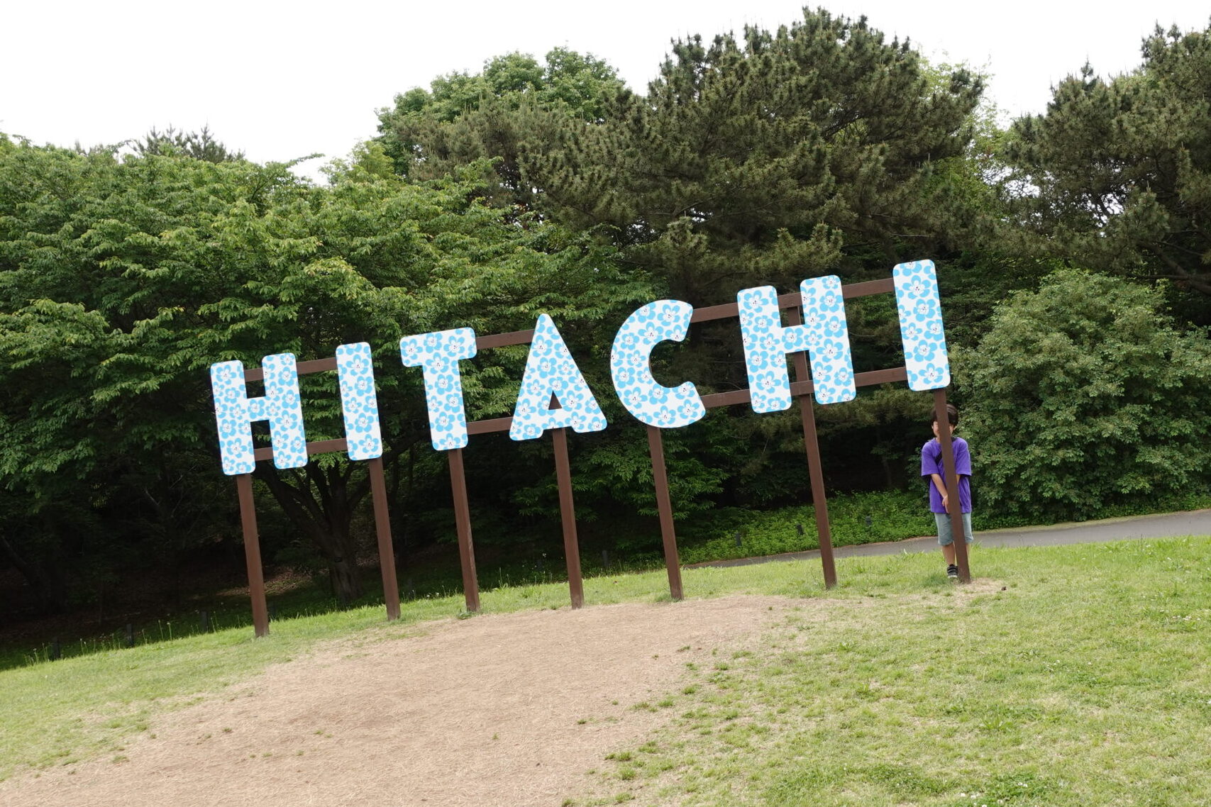 ひたち海浜公園 ネモフィラ 看板