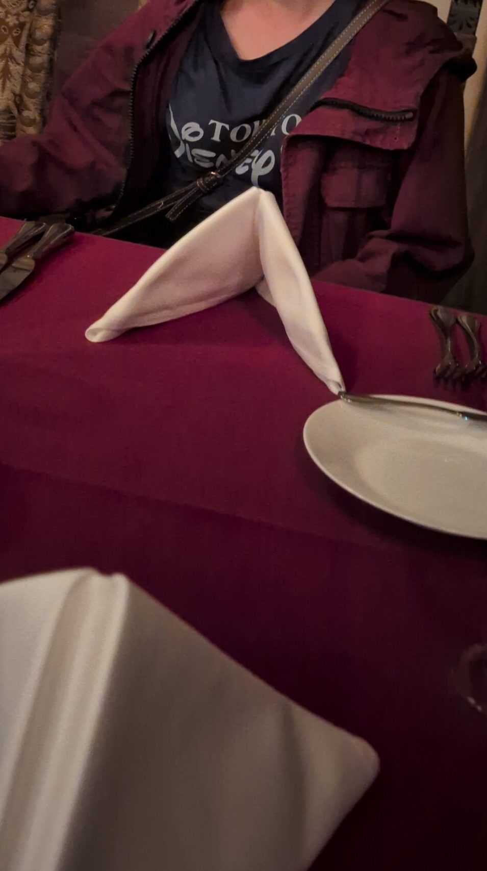 東京ディズニーシー　マゼラン