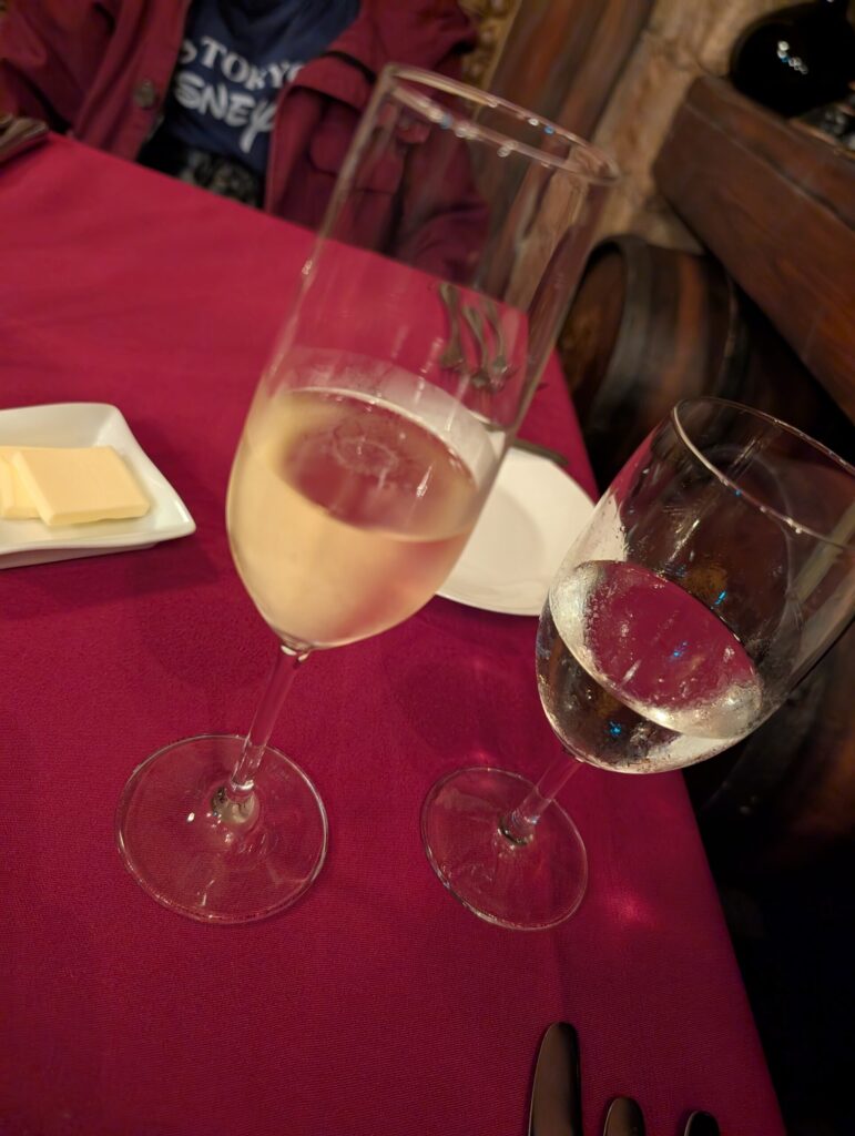 東京ディズニーシー　マゼラン