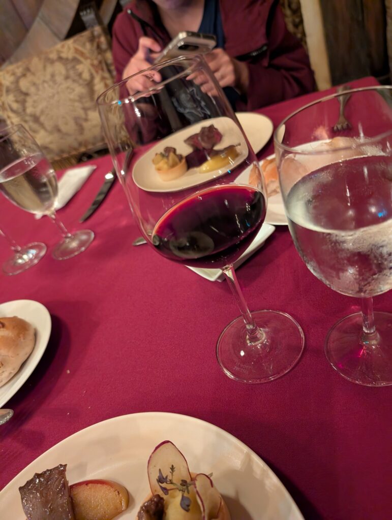 東京ディズニーシー　マゼラン