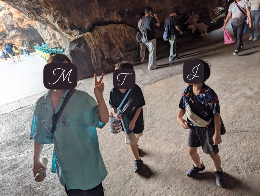 東京ディズニーシー　ミステリアスアイランド